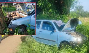 Rozbiła auto o drzewo i zniknęła. W środku został 7-latek