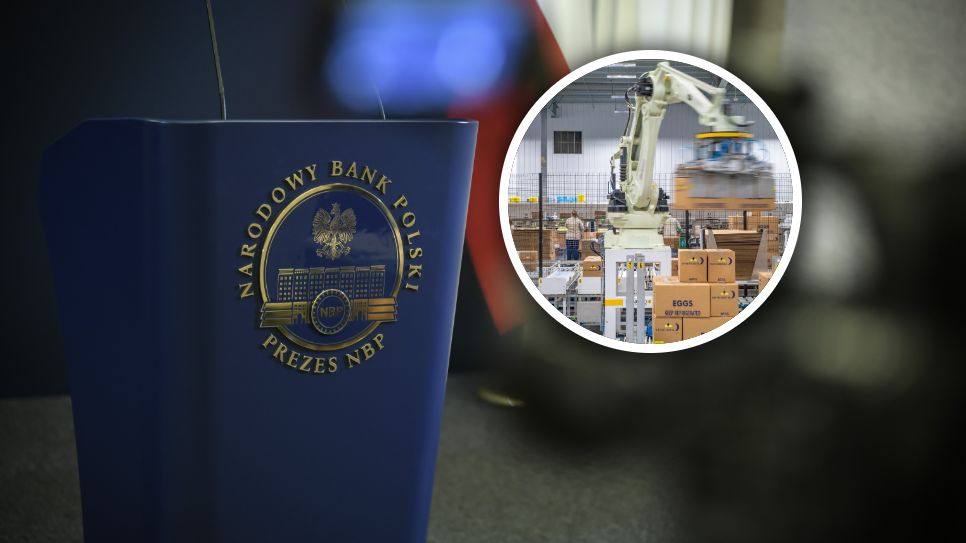 NBP opublikował raport na temat kondycji firm