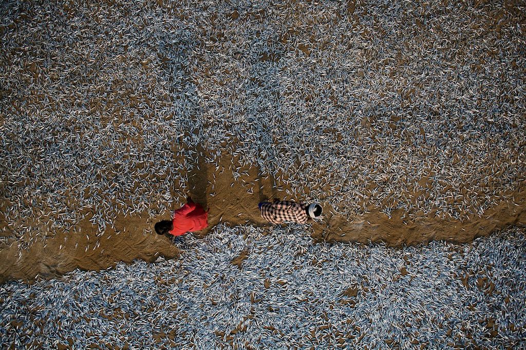 Nicholas Chorier i jego fotograficzny świat z poziomu latawca 4