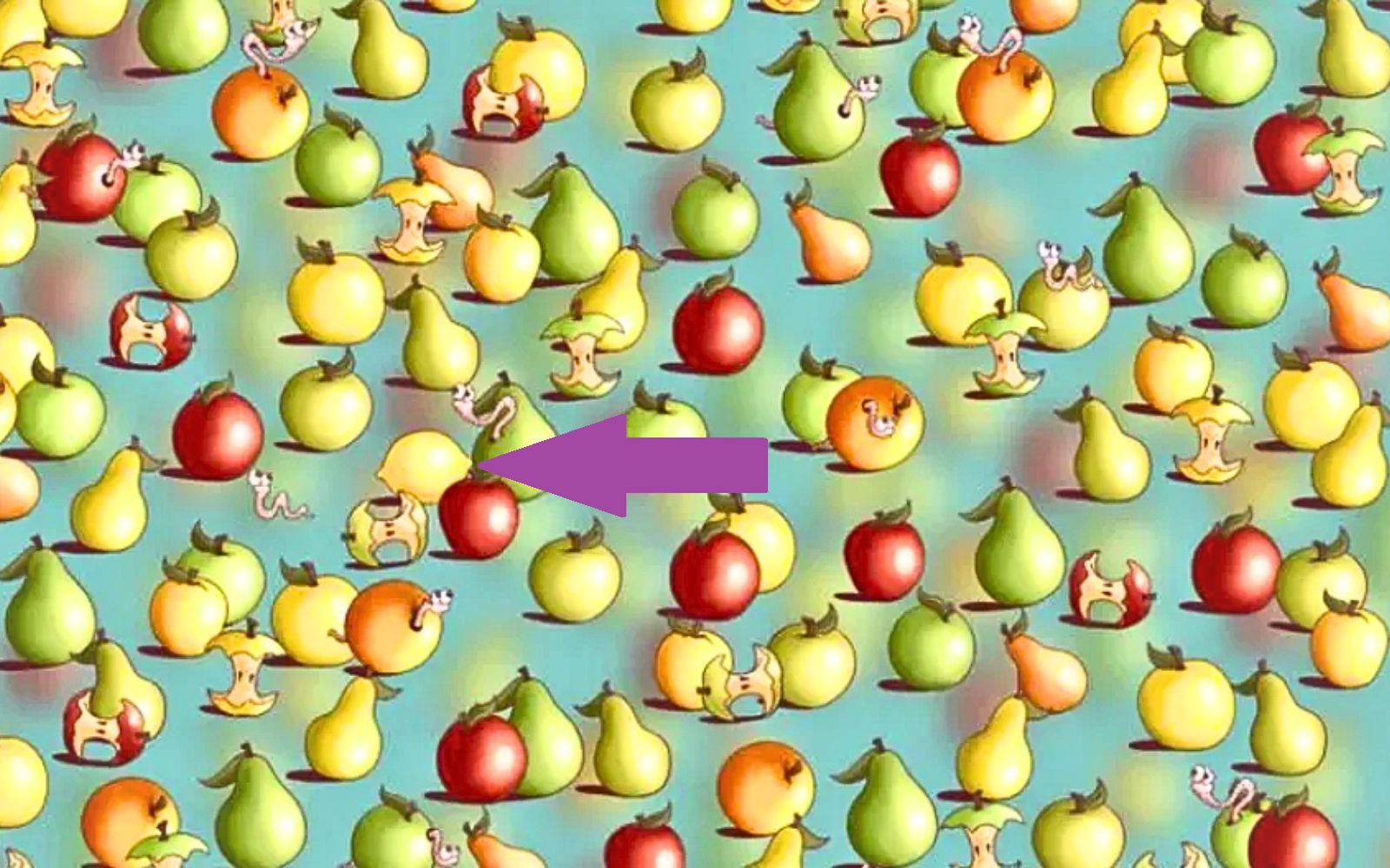 Rozwiązanie zagadki 