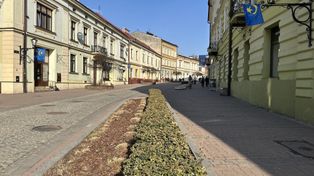 Tarnów: Powrót autobusów na Wałową podzielił mieszkańców