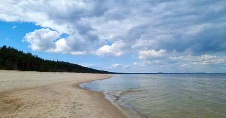 Prawdziwy skarb nad Bałtykiem. Znaleziony w stosie patyków