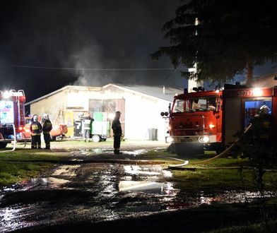 Podkarpackie. Pożar na fermie drobiu pod Mielcem. Zginęło tysiące indyków