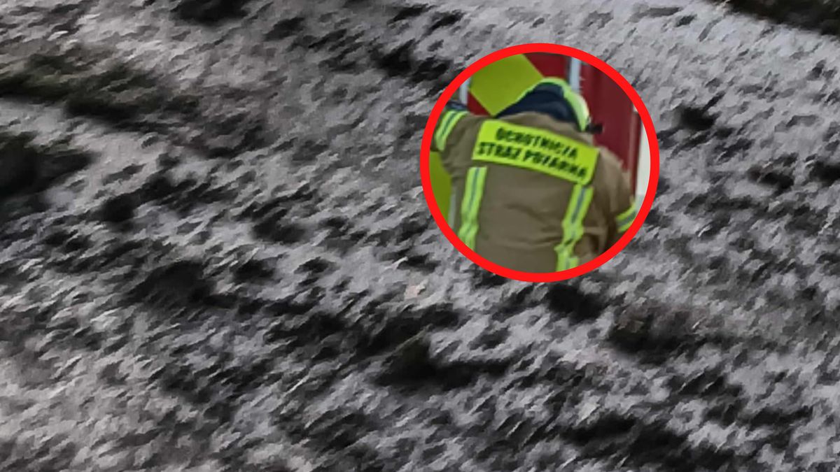 Strażacy sprzątali drogę.