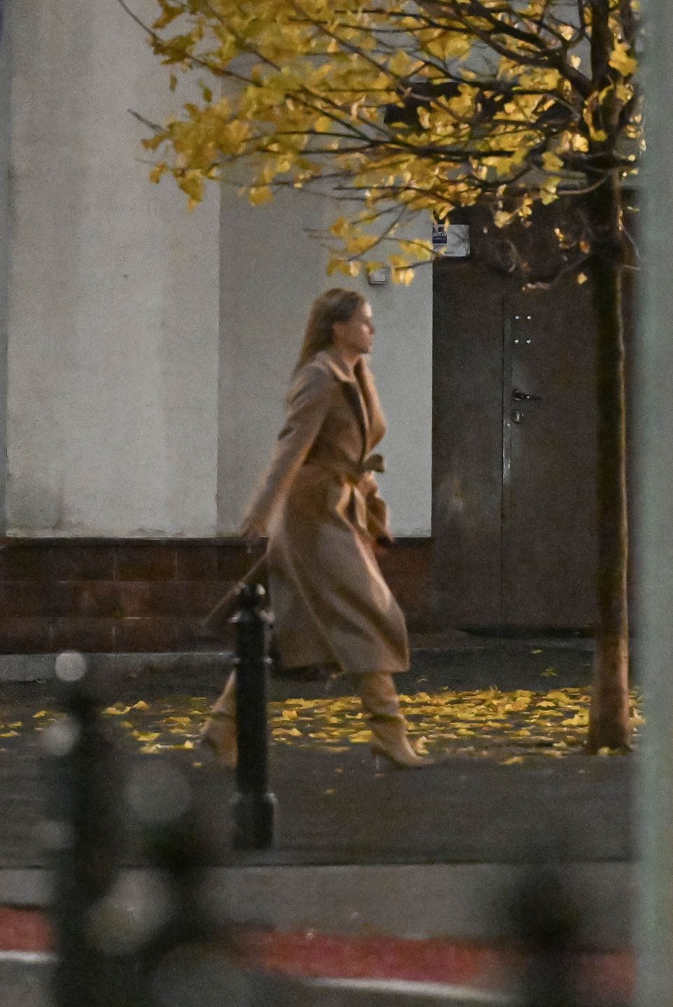 Agnieszka Kaczorowska 