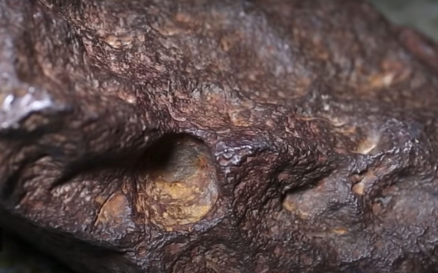 Leżał pod drzwiami szopy. Okazał się "prezentem z kosmosu"