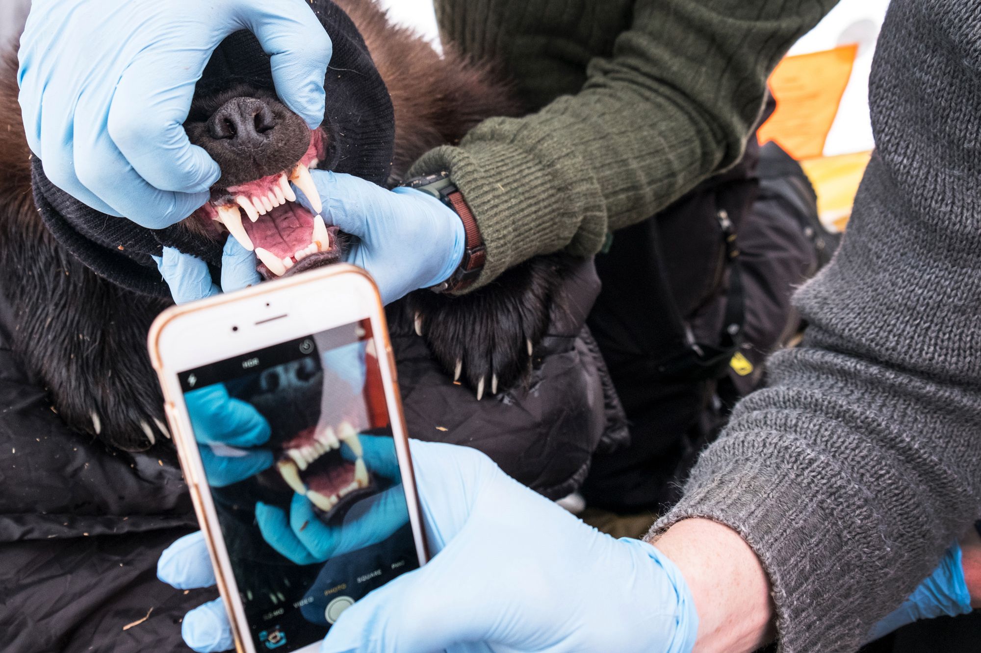 Znamy nazwiska nominowanych do World Press Photo 2020. Jest wśród nich Tomek Kaczor 99
