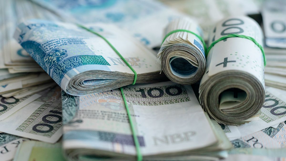 kredyt, pln, waluta, finanse, gotówka, bank, papier, banknoty, finansowy, bilon, banknot, bankowej, bogactwo, biznes, polska, polska waluta