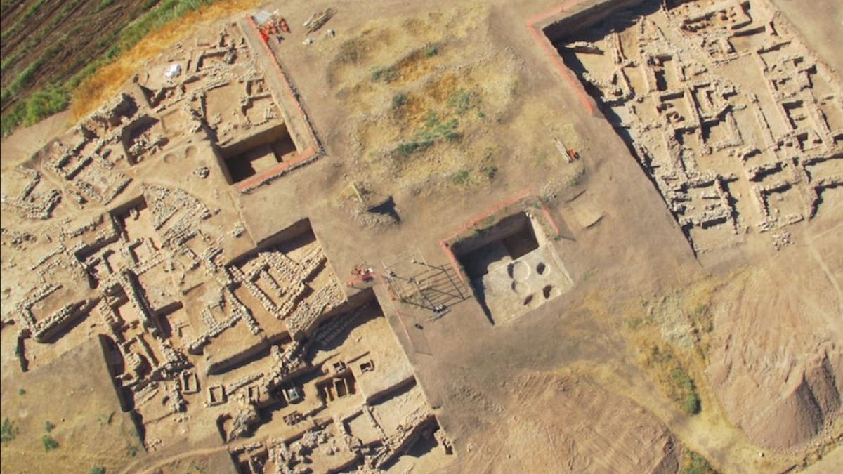 Tajemnicze odkrycie w Turcji. Nawet naukowcy są zaskoczeni