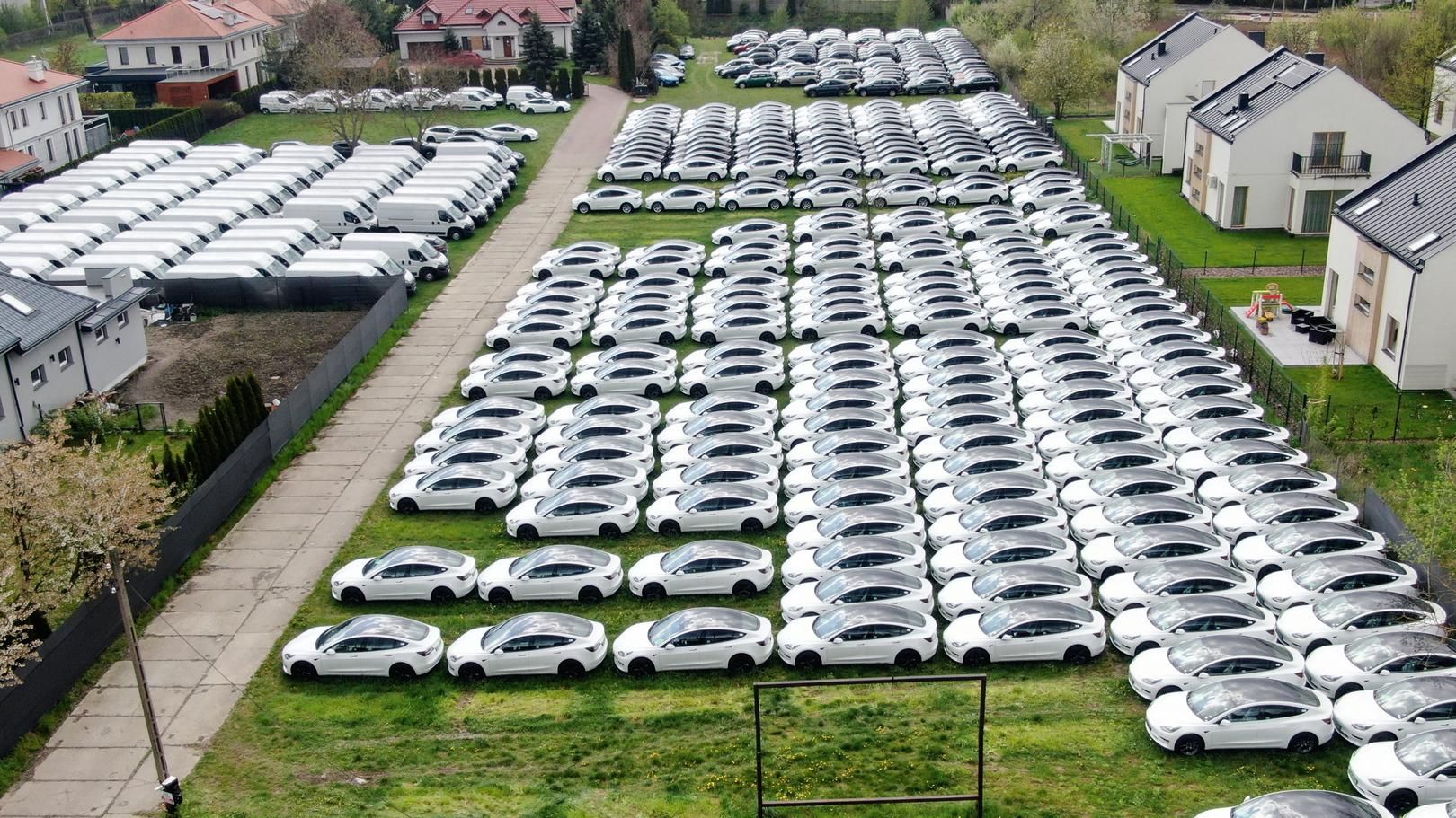 Tesla na trawniku w Warszawie