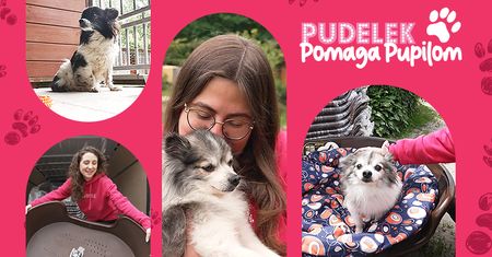 Schronisko w Celestynowie dziękuje za zbiórkę Pudelka! Zobaczcie, na co zostaną przeznaczone Wasze wpłaty