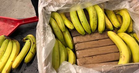Narkotyki w bananach. Nowe informacje w śledztwie kanadyjskiej policji