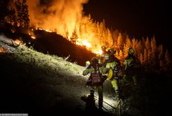 Pożary na Teneryfie. Ogień "całkowicie wymknął się spod kontroli"