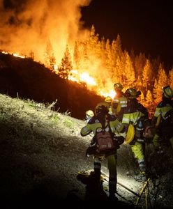 Pożary na Teneryfie. Ogień "całkowicie wymknął się spod kontroli"