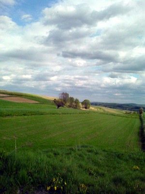 Obraz