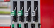 Ceny paliw w 2024 r. wzrosną? Ekonomista wskazał kluczowy czynnik