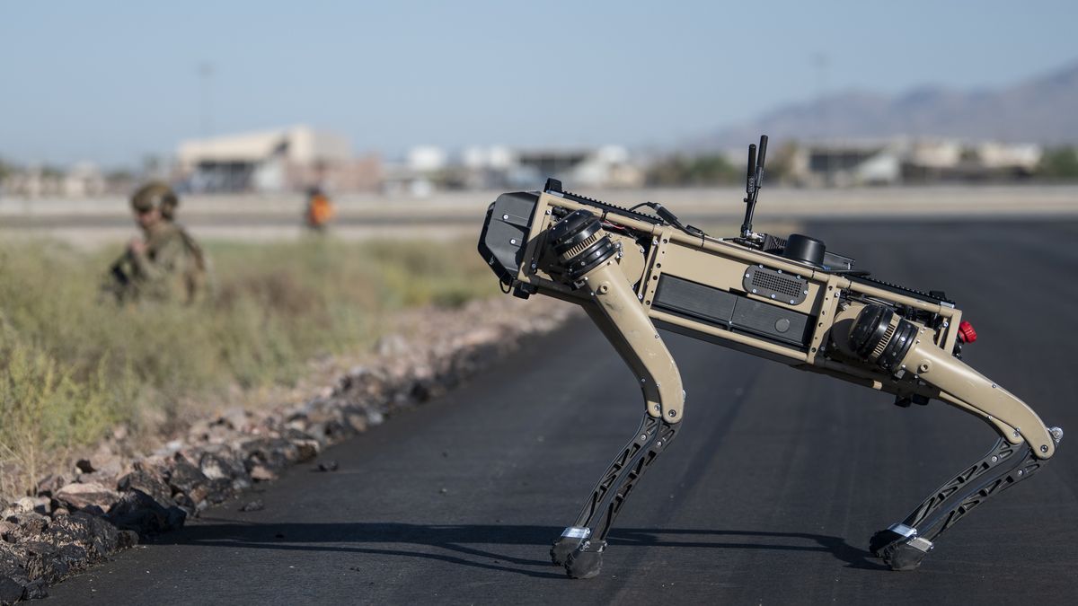 Zdjęcie dnia. Psy-roboty będą strzec amerykańskich baz 1