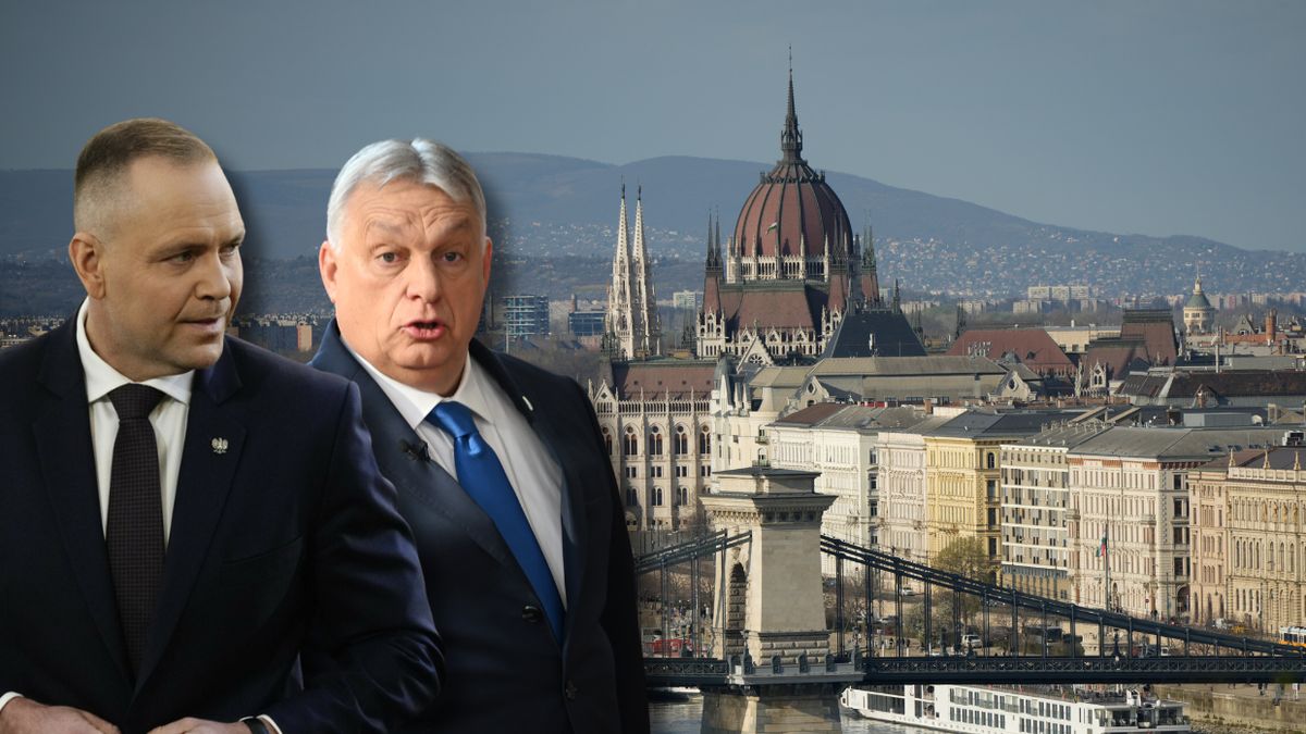 Media: Karol Nawrocki planuje spotkanie z Viktorem Orbanem