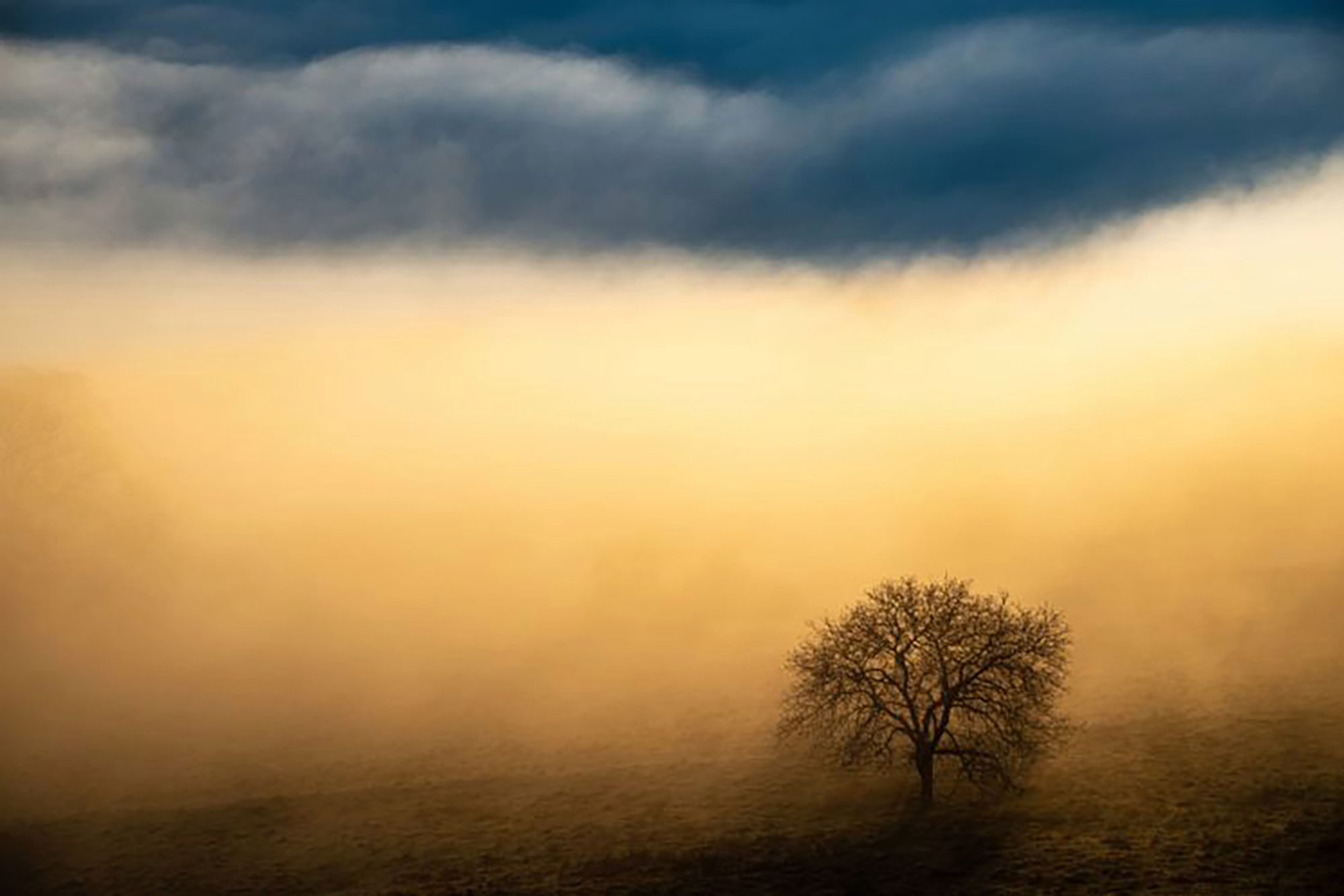 Najpiękniejsze zdjęcia przyrody w konkursie GDT Nature Photographer of the Year 11