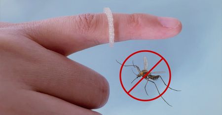 Pierścień odstraszający owady. Zakładasz na palec i masz spokój na tydzień