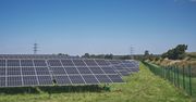 Odpady z elektrowni węglowych na farmach fotowoltaicznych