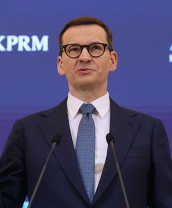 Tarcza antyputinowska. Borys: premier przedstawi plan w przyszłym tygodniu