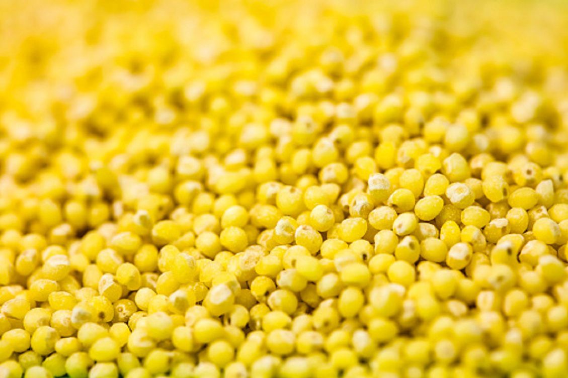 &quot;Połowa kasz jaglanych nie powinna znaleźć się na półkach sklepowych&quot;