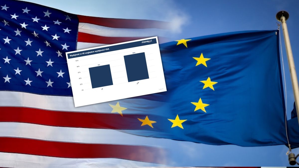 Wydajność w UE