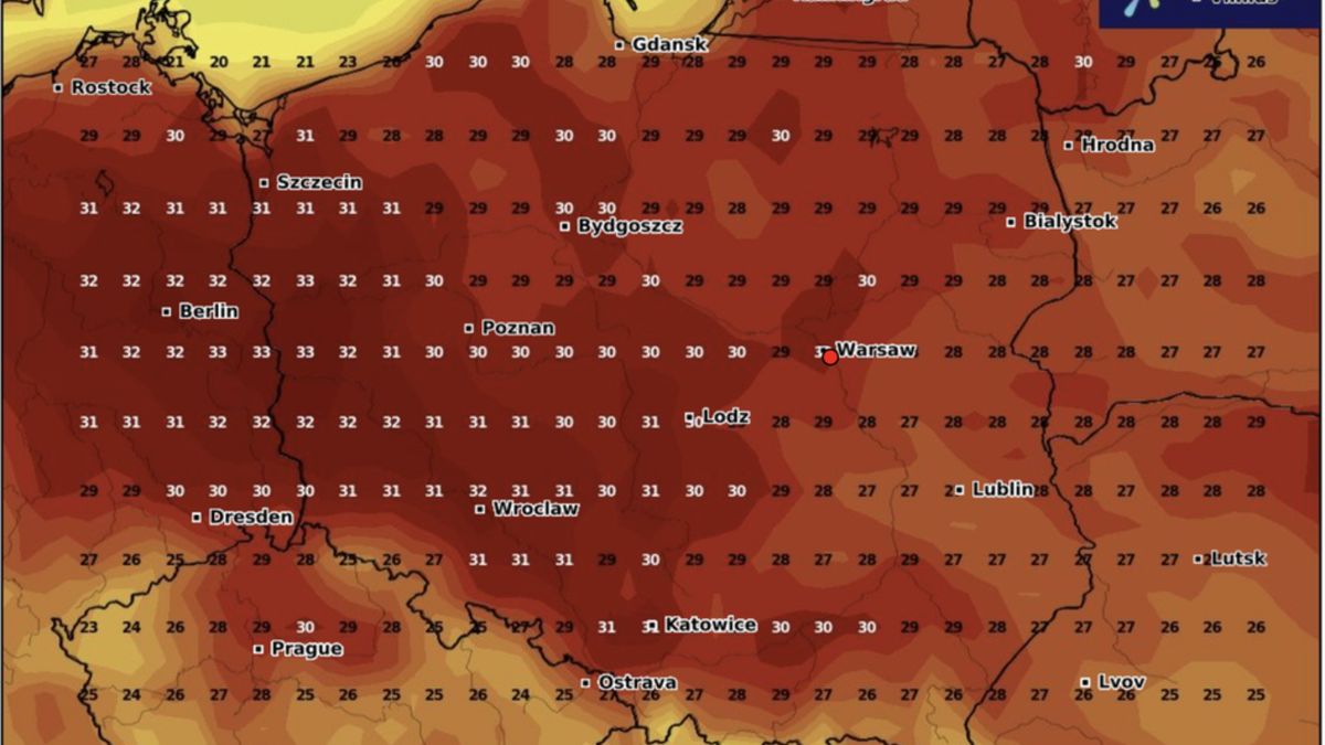 Czwartek (27 czerwca) będzie upalny