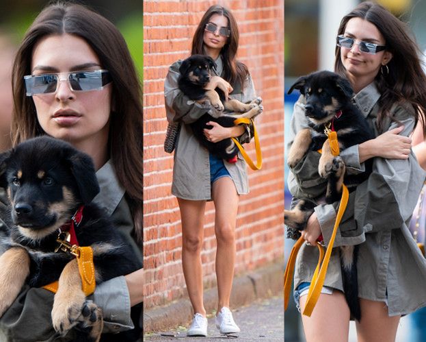 Emily Ratajkowski chwali się nowym szczeniakiem na nowojorskim chodniku