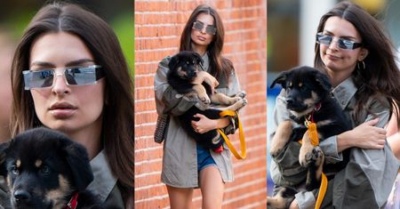 Emily Ratajkowski chwali się nowym szczeniakiem na nowojorskim chodniku