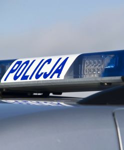 Matka i jej partner uprowadzili 11-letnie dziecko. Usłyszeli zarzuty