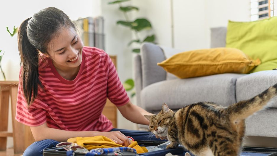 Najlepszym sposobem na wyrzuty sumienia z powodu wakacyjnego wyjazdu bez kota są odpowiednie przygotowania