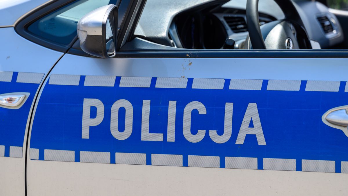 policja, napisz, oznaczenie, auto, niebieski, prawo, kara, mandat, patrol, symbol, prawo karne, wykroczenie