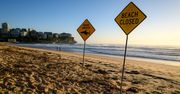 "Rany wymagające wielu operacji". Atak rekina na kobietę w Sydney