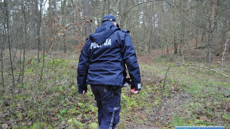 grzybobranie policja las