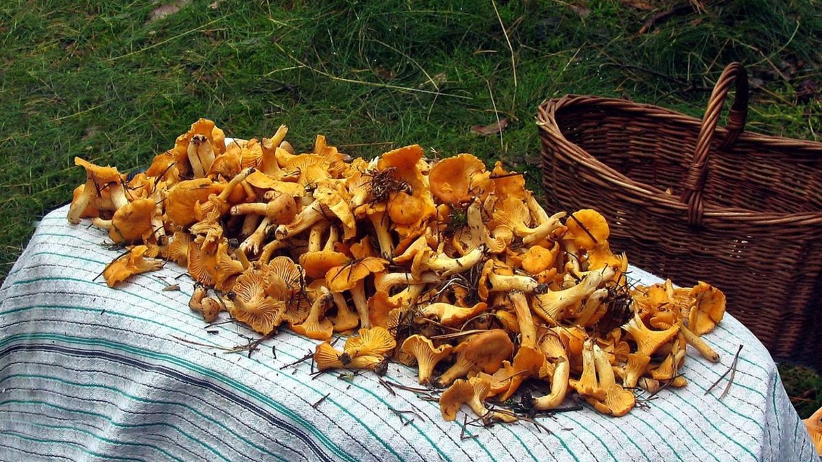 Wysokie ceny kurek. Nawet w sieciówkach promocje nie zachęcają