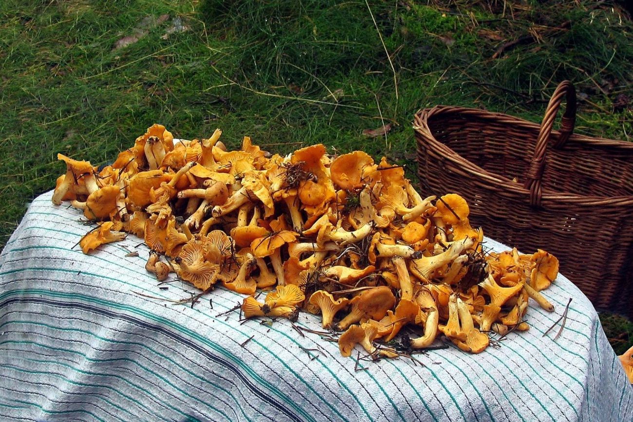 Wysokie ceny kurek. Nawet w sieciówkach promocje nie zachęcają
