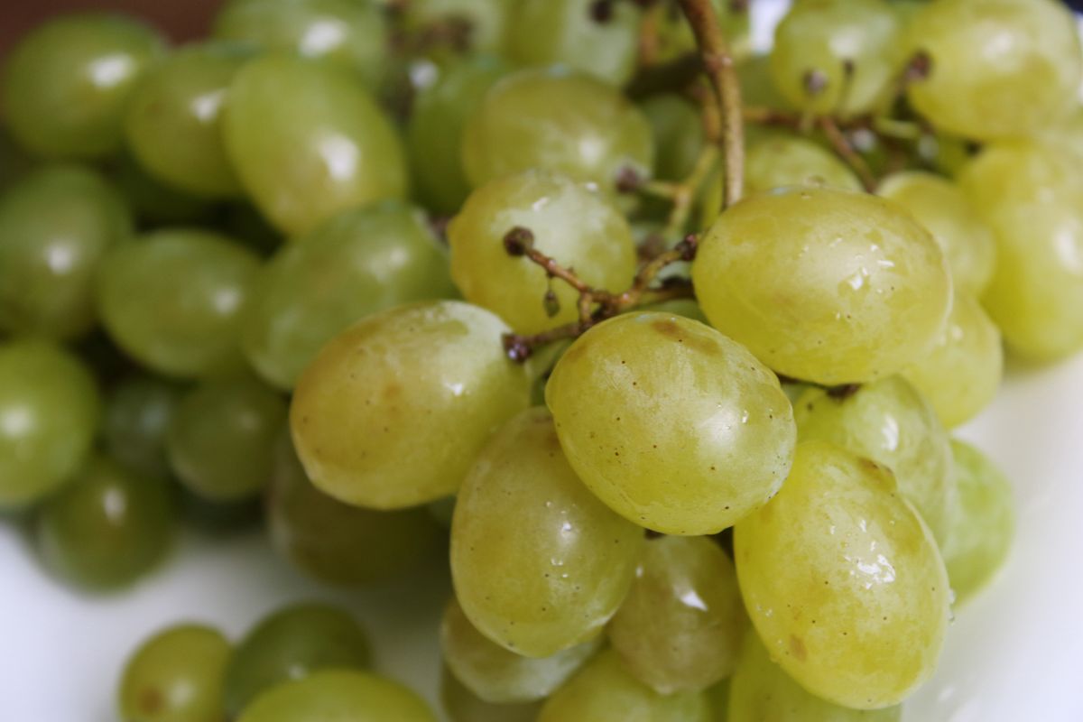 Świeże winogrona można dodać do deserów lodowych lub galaretki 
