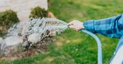 Grill, basen i święty spokój? Ogródki działkowe schodzą na pniu