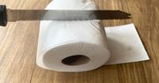 Przekrój rolkę papieru toaletowego na pół. Efekt na wagę złota