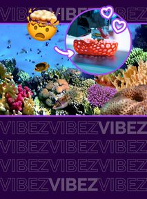 Rafy koralowe z drukarki 3D. Czy technologia uratuje Wielką Rafę Koralową?