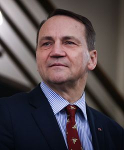 Wizyta Sikorskiego w Japonii. Zapytali go o polskie wojsko