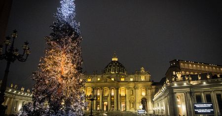 Awantura o choinkę dla papieża. "Jesteśmy przeciwni tej bezużytecznej masakrze"
