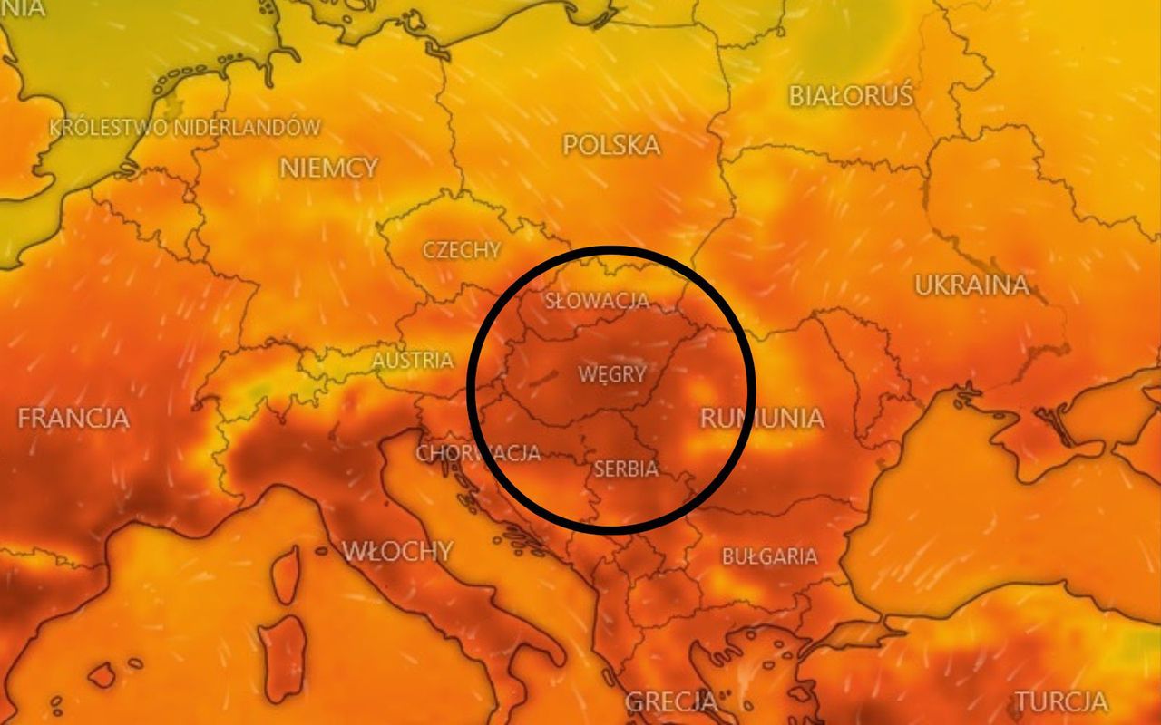 Pogodowe "piekło" u granic Polski. Takie temperatury już 10 sierpnia