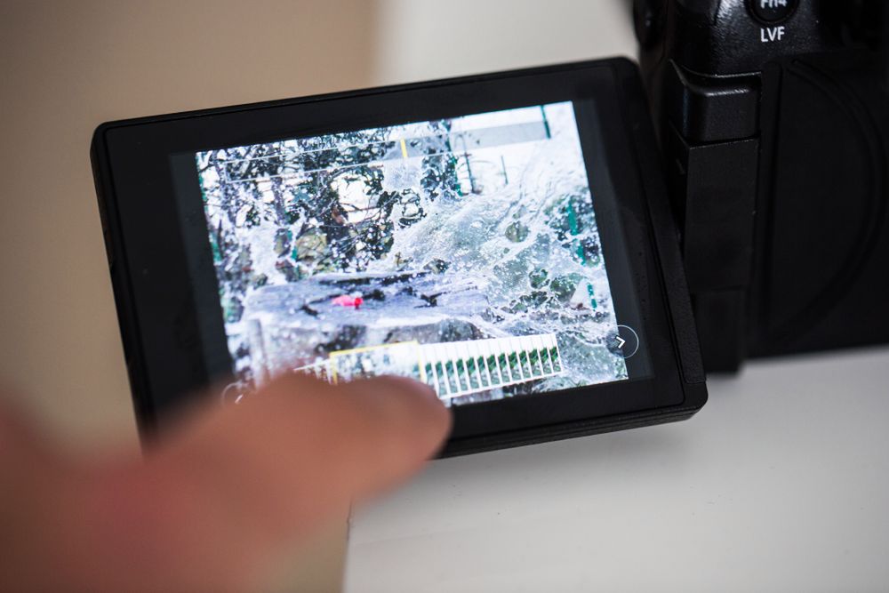 Sprawdzamy jak działa funkcja 4K Photo i Post Focus w aparatach Panasonic 8