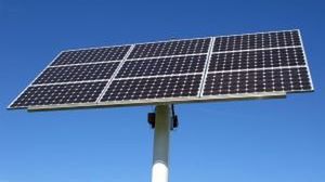 Drzewa fotowoltaiczne 1