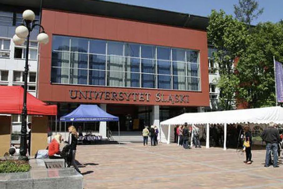 Odkryli nowy minerał z meteorytu. Nadali mu nazwę