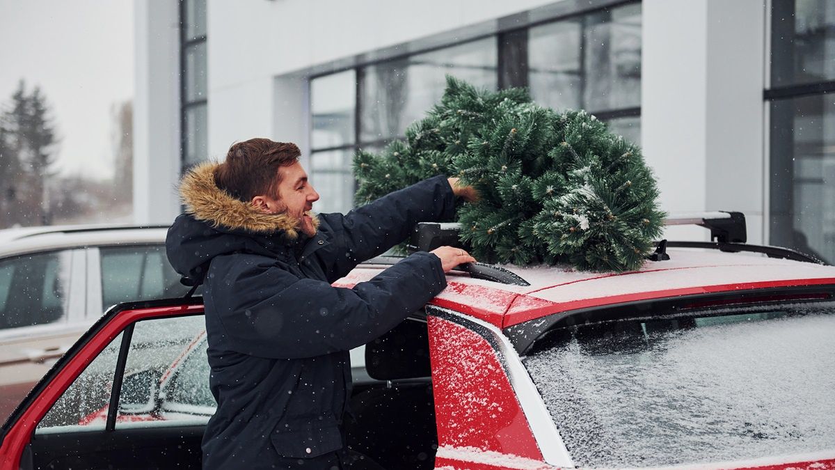 Choinka musi być odpowiednio zabezpieczona w czasie drogi.