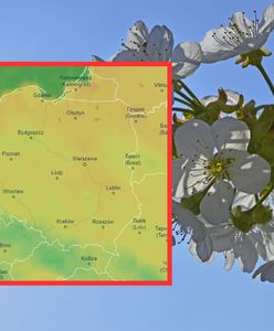 Pogoda na 16 dni. Przedstawiamy długoterminową prognozę dla Polski